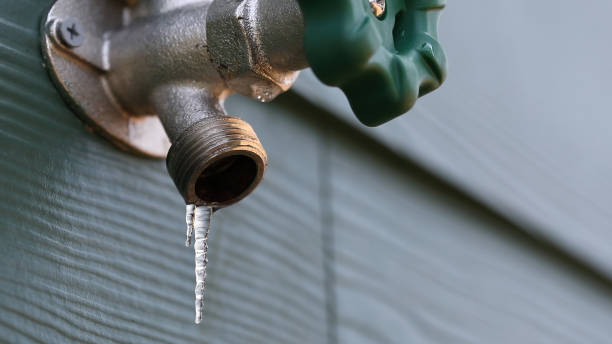 Best Sewer Line Repair  in Englewood, TN